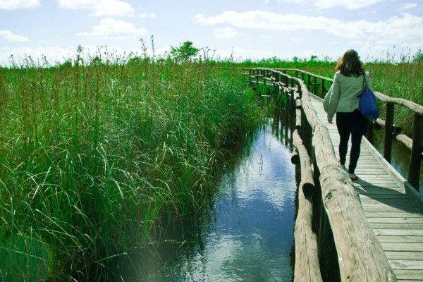 Massaciuccoli: natura e gusto del Lago